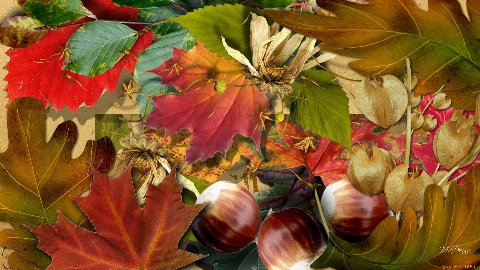 ,  , , , , , 